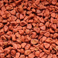Annatto &copy; Päivi Hutri