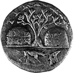 Tyros raha